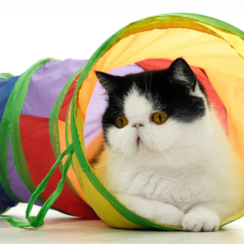 Foldable Pet Play Tunnel – Interactive Cat & Small Dog Toy Tube