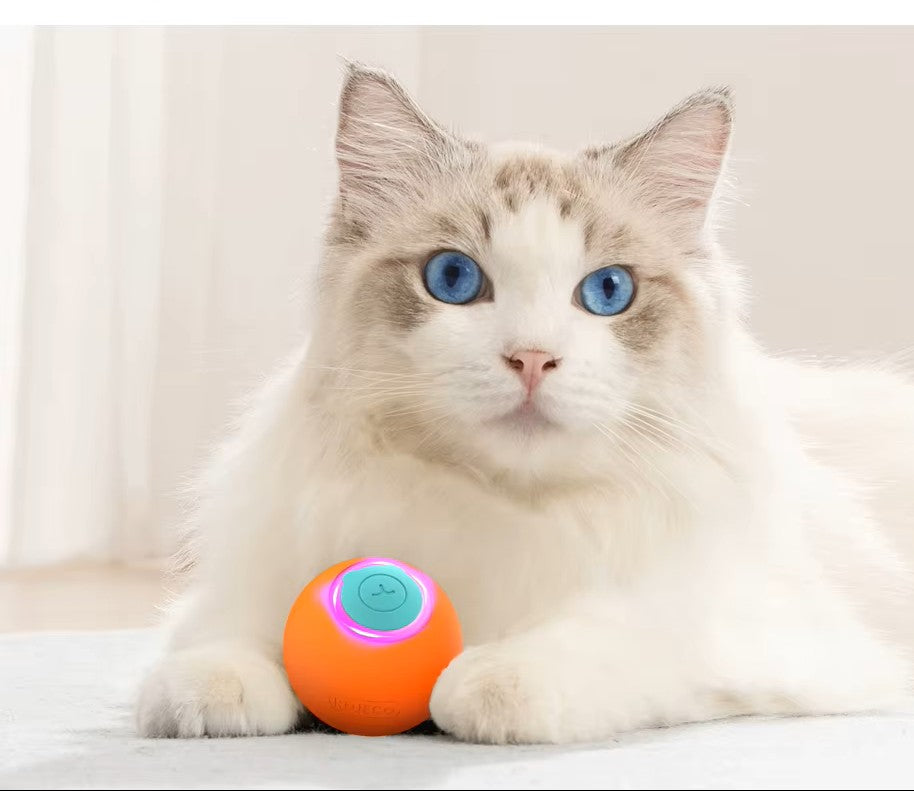 Smart Interactive Rolling Ball Toy for Cats & Small Dogs